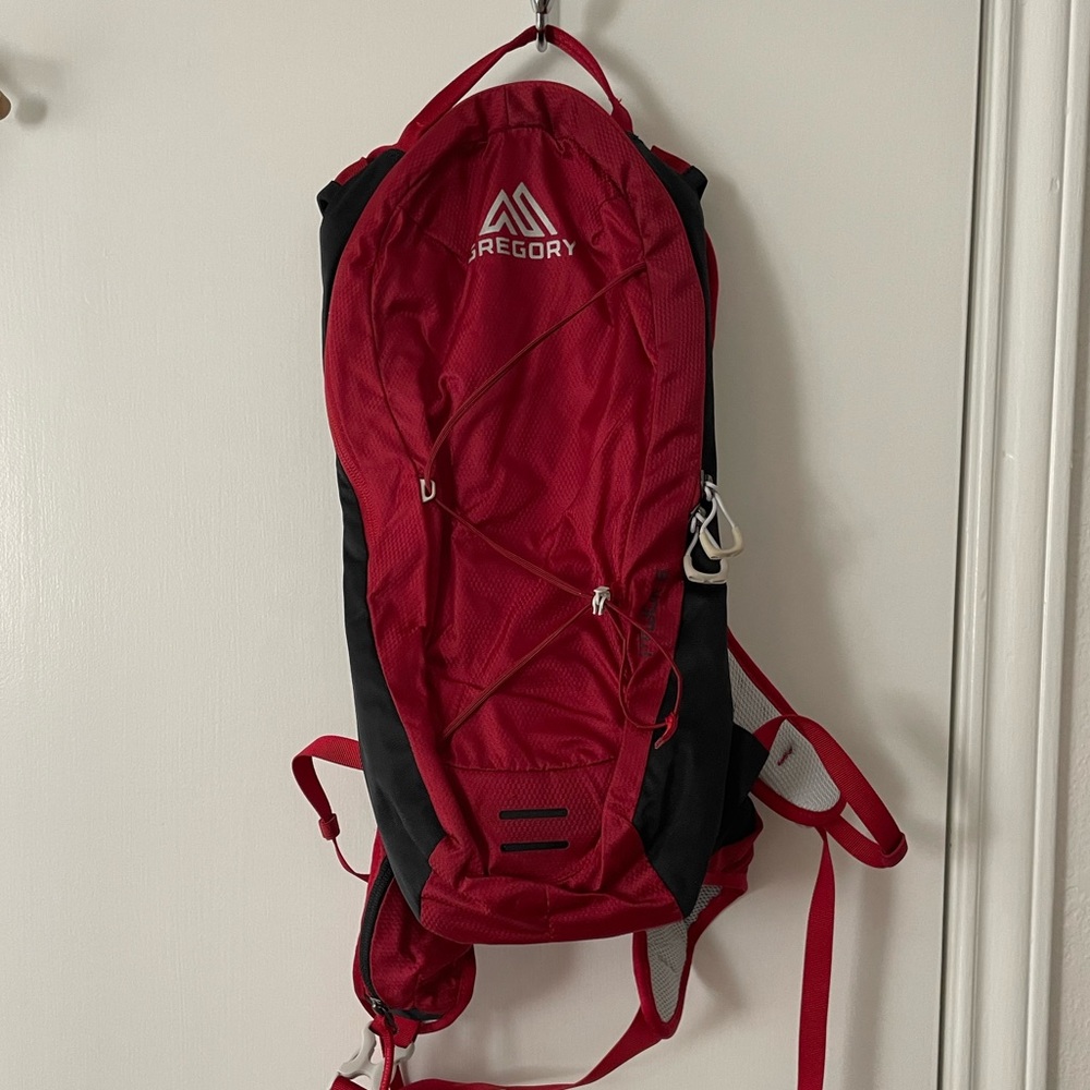 Gregory Hiking Bag